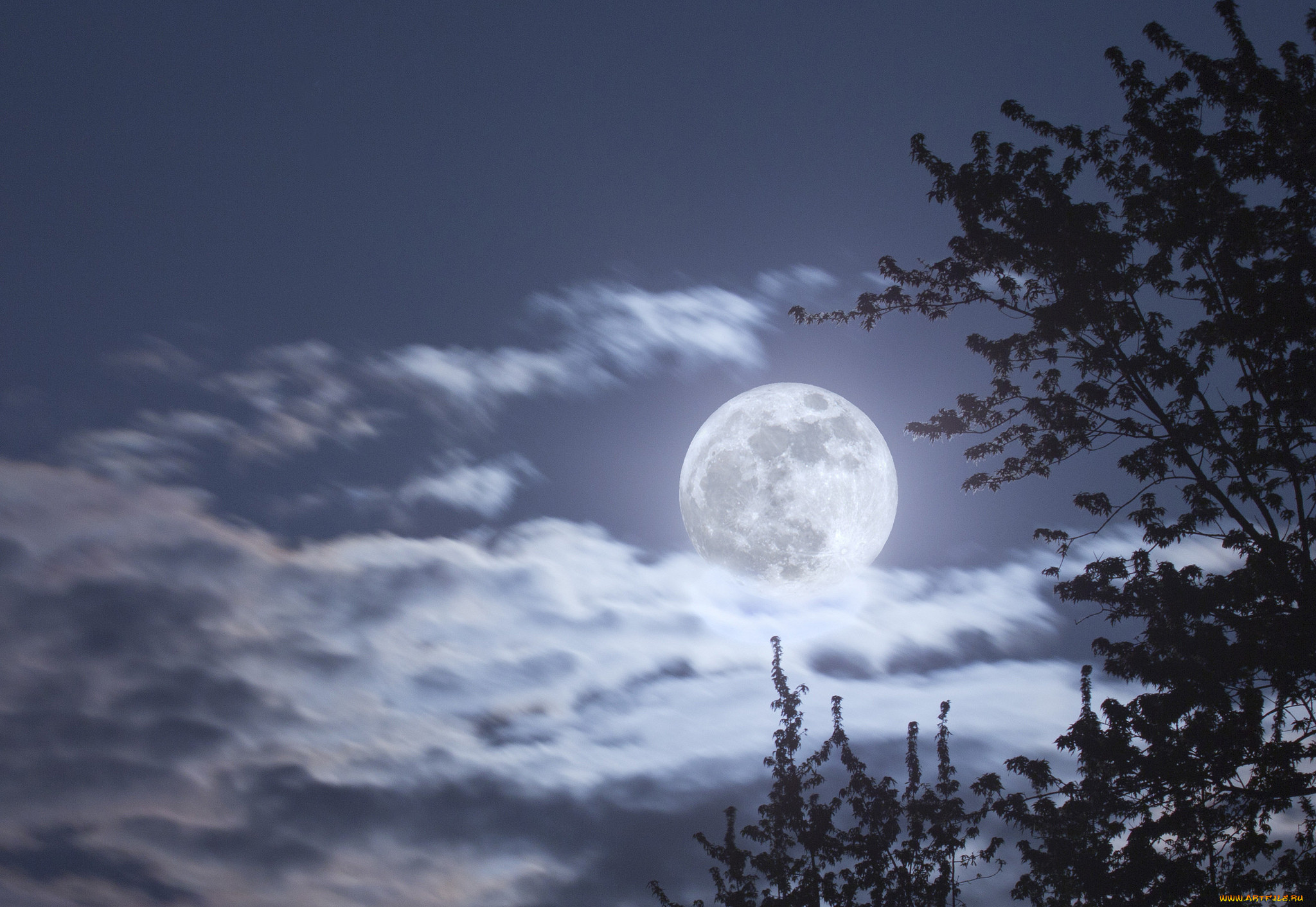 Полнолуние. Лунное небо. Луна в облаках. Большая Луна.